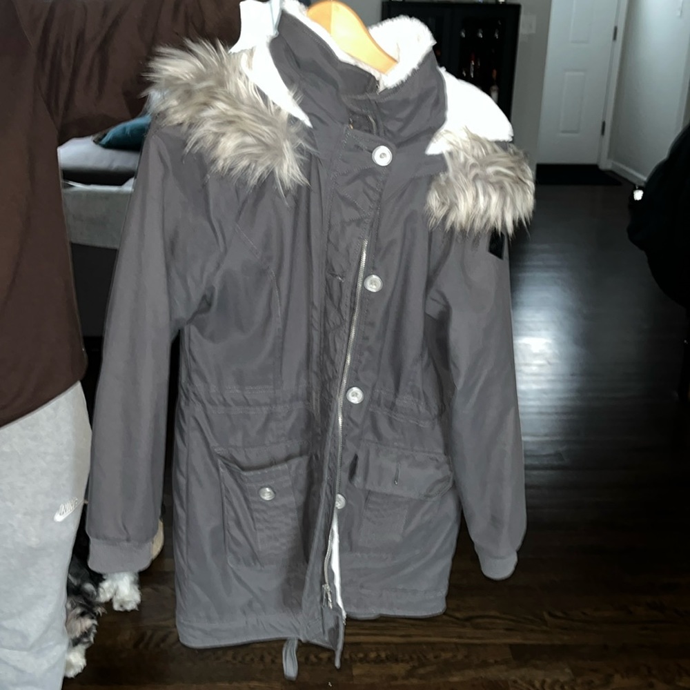 Hollister coat